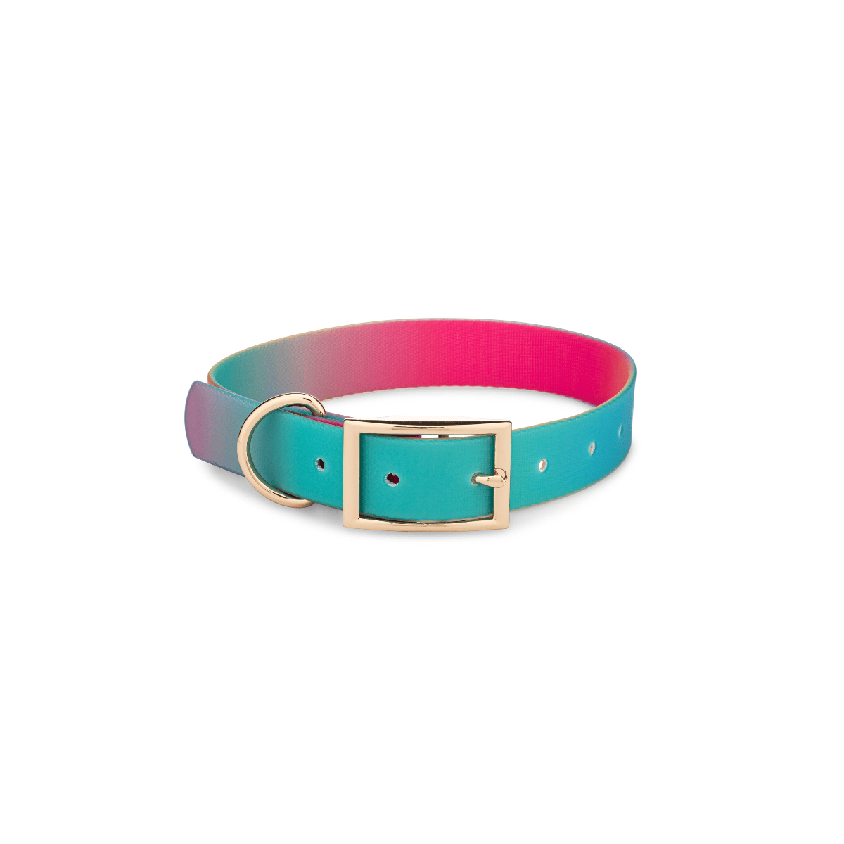 Pippa dog collar — additional photo 2