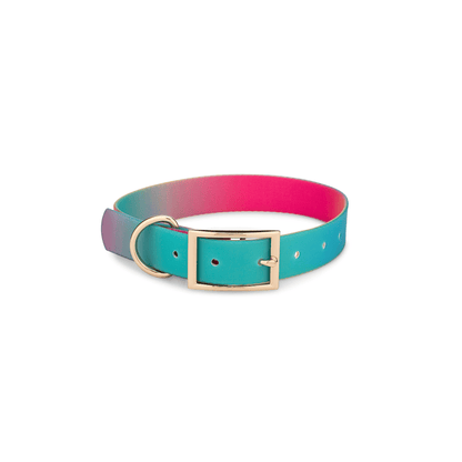 Pippa dog collar — additional photo 2