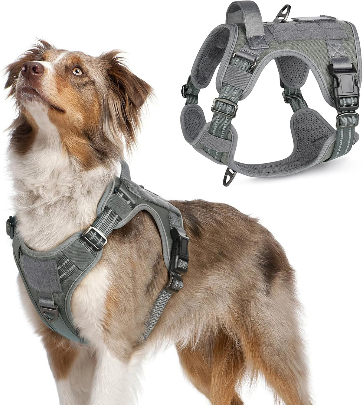 MOLLE Tactical No-Pull Dog Harness, Medium to Large