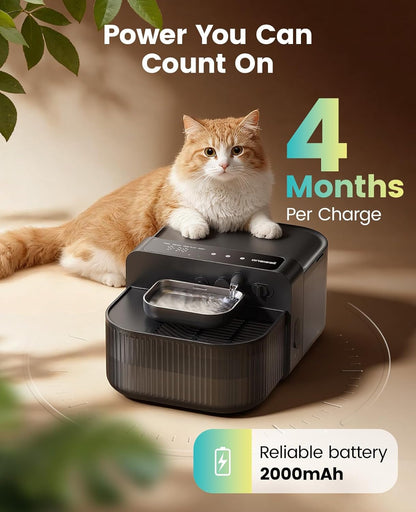 Filterless Wireless Cat Water Fountain, 3.5 L Steel