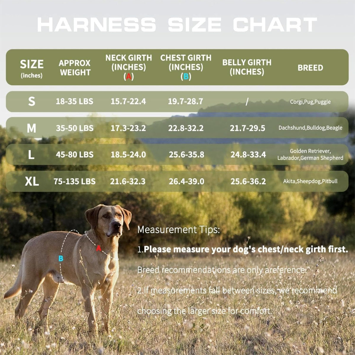 Heavy-Duty MOLLE Tactical Dog Harness, Medium to XL