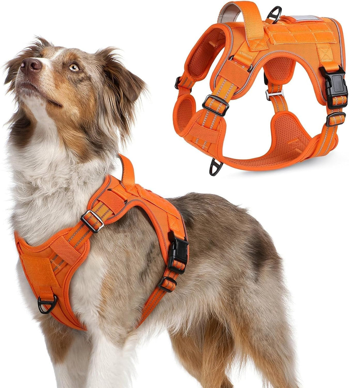MOLLE Tactical No-Pull Dog Harness, Medium to Large