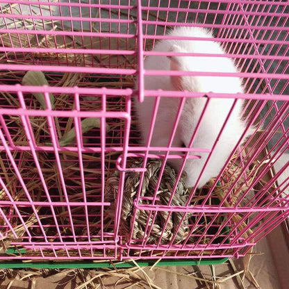Timothy Grass Chew Balls for Rabbits, Hamsters & Guinea Pigs