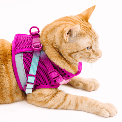 Joana cat harness and leash set — additional photo 12