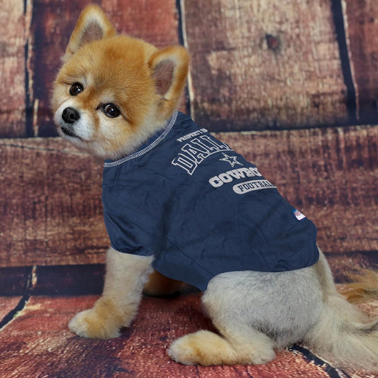 Small dog wearing Dallas Cowboys T-shirt