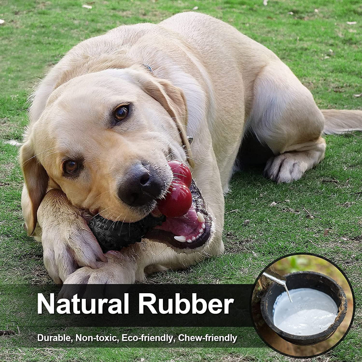 Indestructible Bone Chew Toy for Aggressive Chewers