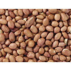 V4H36B6B0E93CA7A72E76B83BE63C00EF58R7449966P3