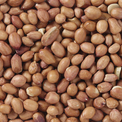 V6H3E9DA8BC80A5FF85020F48E64222327FR7449974P4