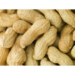 V6H2F9F25EC63120DA1E91F3600B0ED5193R7447879P3