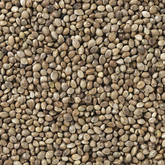 V5H39BCC0A9733A2E4DDC9CCC58BDF7271DR7449983P4