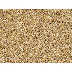 V5HCBE9F43D016E5690E7D319280DD85F0BR7450058P3