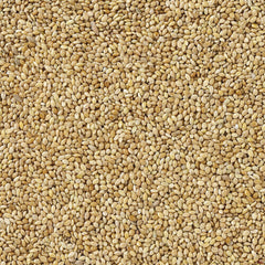 V5H2BF9156AA9C1E9E7F0FA712C40339509R7450059P4