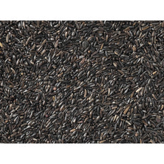 V8H22648DA9AAD5DE7D0A50C4C69AEB4CBFR7450030P3