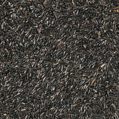 V8HCB44A142596BEE22F875BA0F07F4B44AR7450033P4