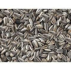 V8HB377F1DC965A6590509CBC373F7E15C7R7450078P3