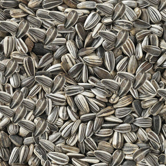 V6HFF41B1A6ED23EBDCCAC68E7856FE3A1AR7450079P4