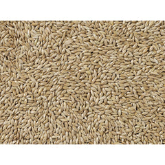 V4HC94A4E8AE24E85E3315BA7C7B66497D8R7450072P3