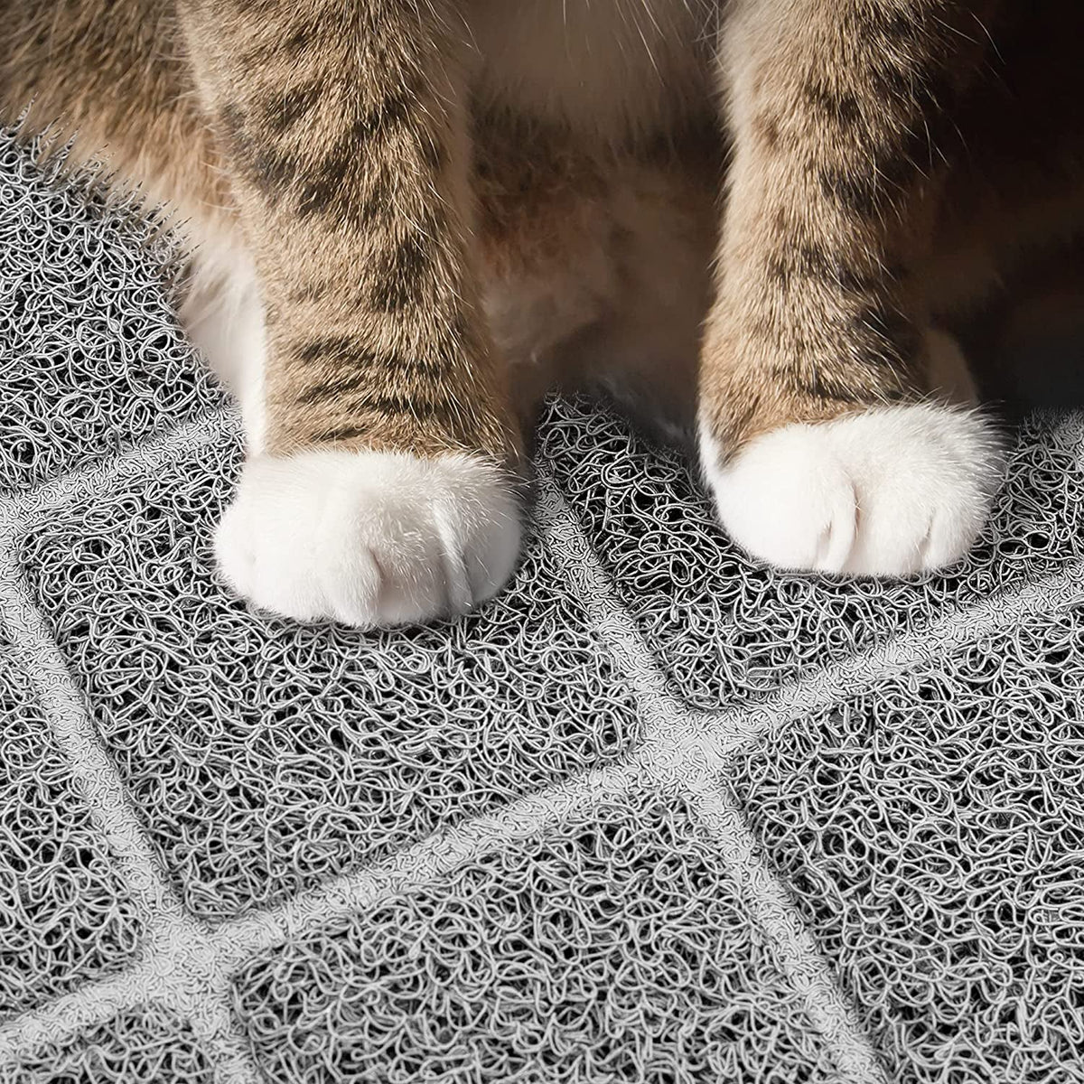Non-Slip Cat Litter Mat with Waterproof Backing, 35 x 23 in