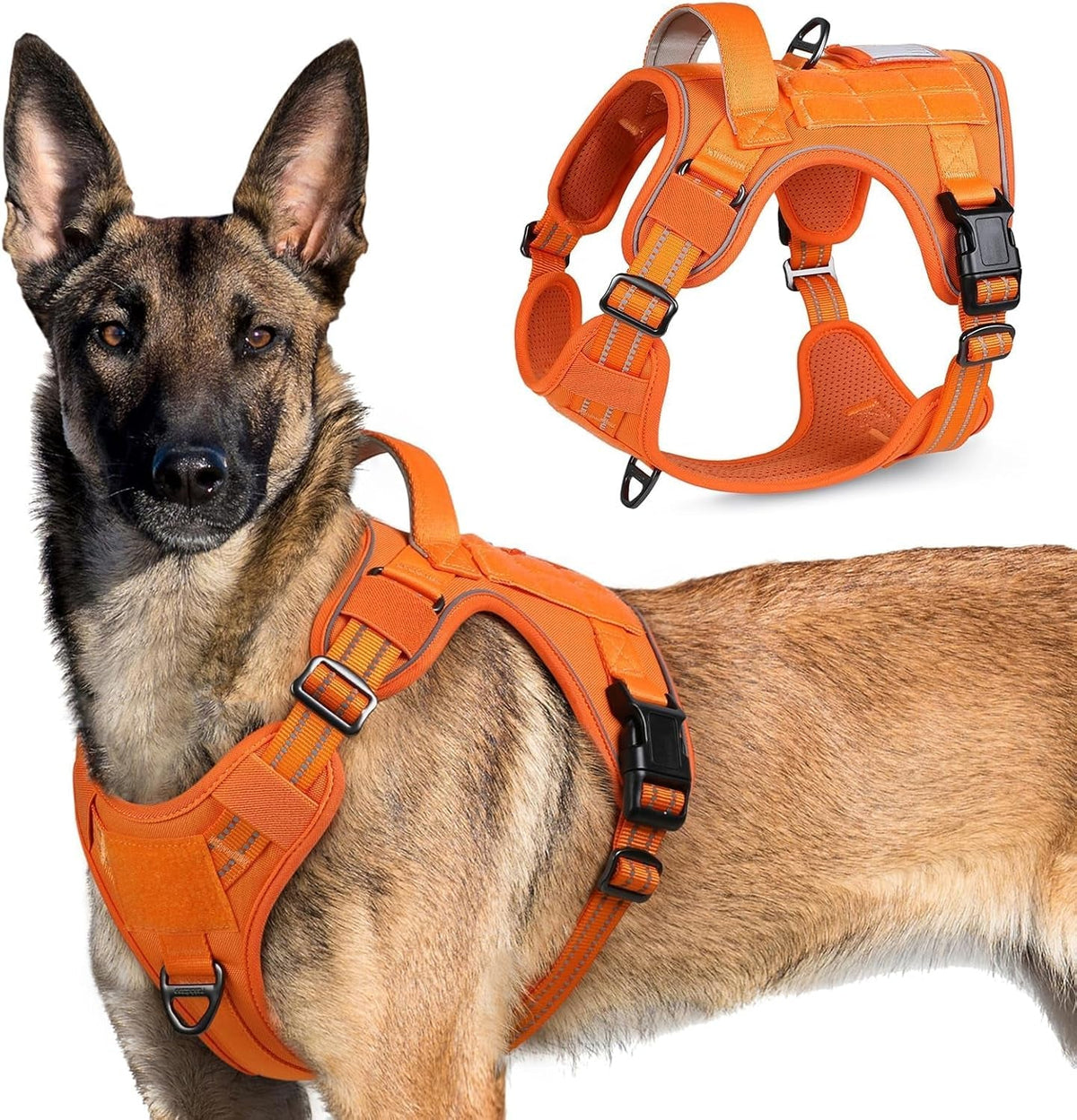 MOLLE Tactical No-Pull Dog Harness, Medium to Large