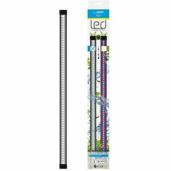 Aquariums et bocaux à poissons
