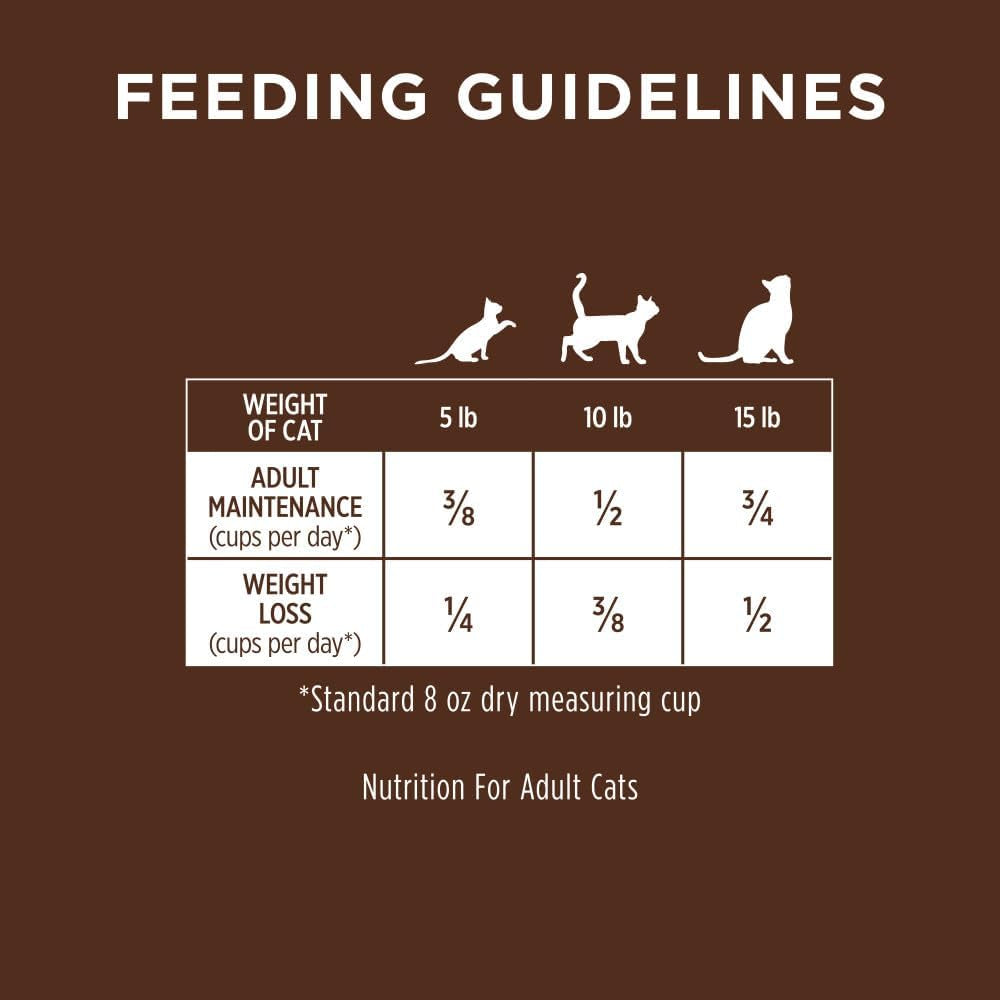 Grain-Free High Protein Dry Cat Food, 10 lb