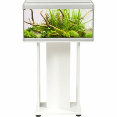 V6H42B93403031C5A964B540CBFBC985597R7450892P2