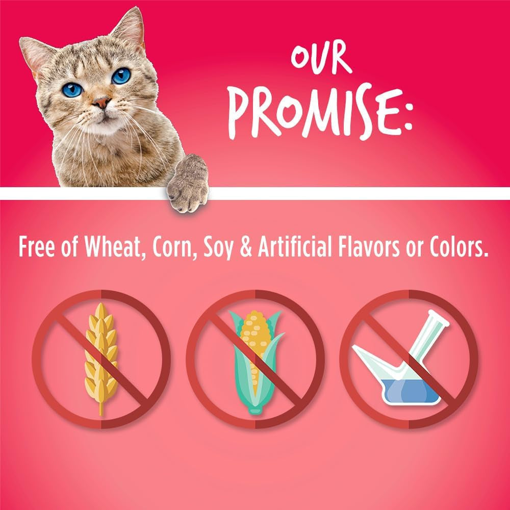 Crunchy Cat Treats Made with Salmon