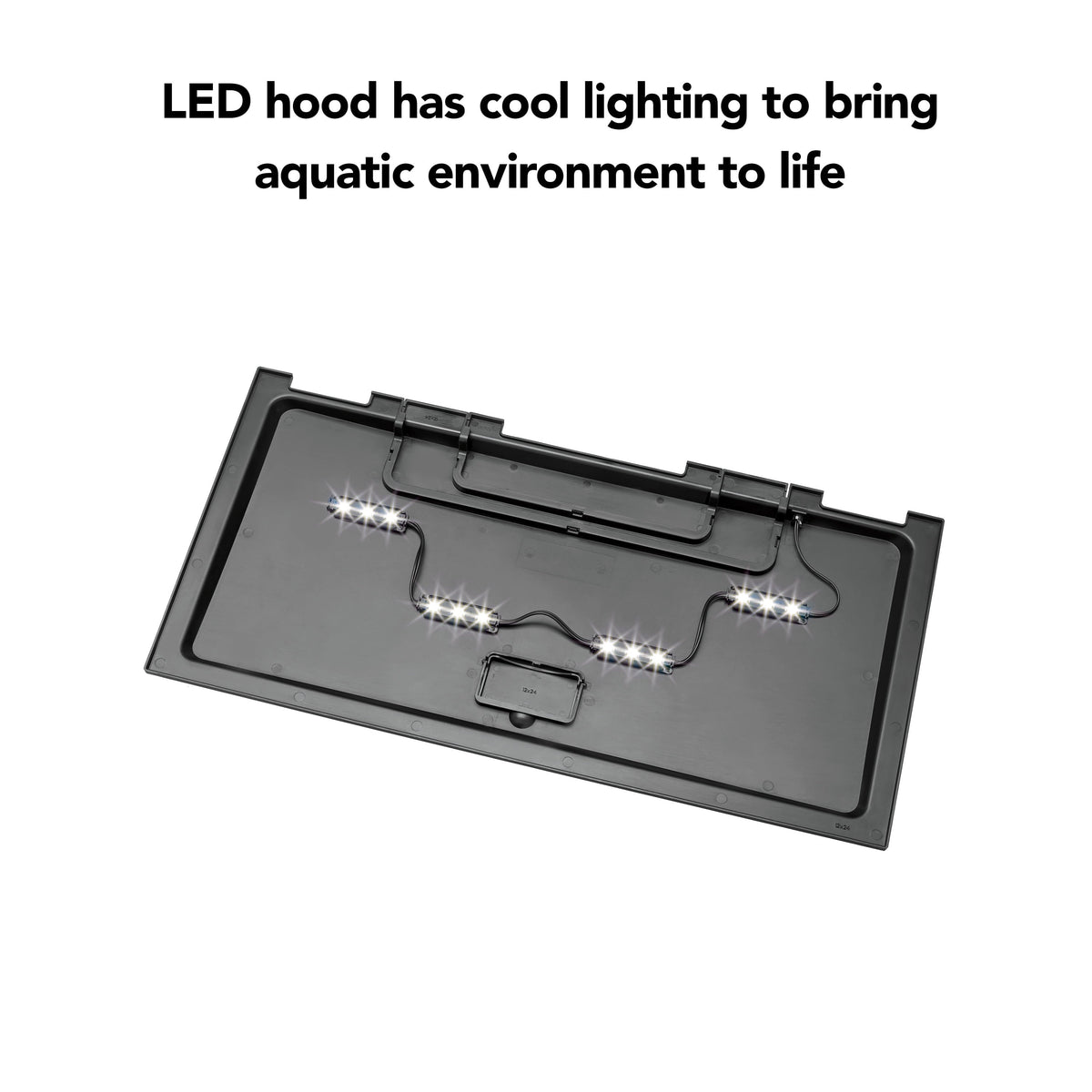 20 Gallon Aquarium Starter Kit with LED Lighting