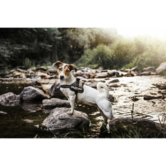 V5H375E0D228A376AECF9E38761A2306C81R7451371P8