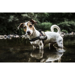 V2H80FF07D46DCDF008B8218E8D0FC41603R7526459P8