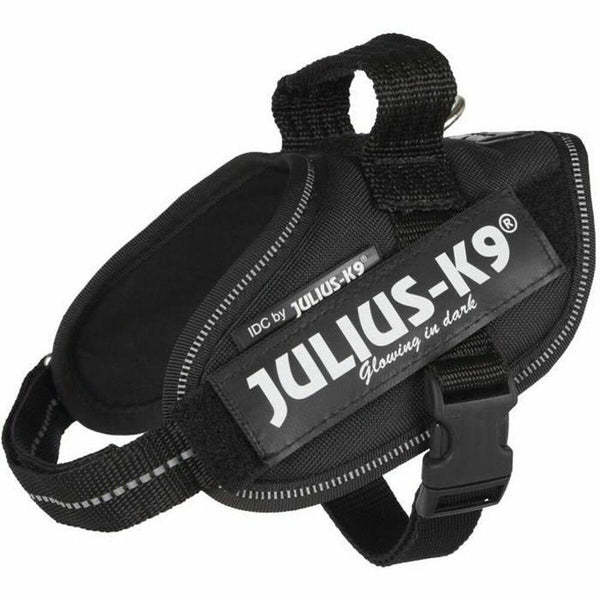 Julius K9