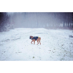 V7H4022C0BBEF08A5F2EFD3802D81FC5343R7445350P2