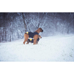 V5H1E0DAEF3A9E3C8B08079517E4462772DR7445367P6