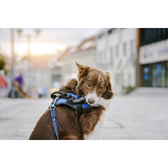 V4H6D7D84E15CFF22721EE96D31EF4F595FR5333072P4