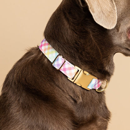 Minka dog collar — additional photo 4