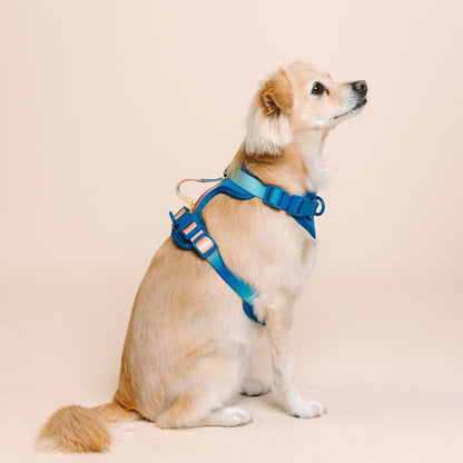 Atlas dog harness — additional photo 7