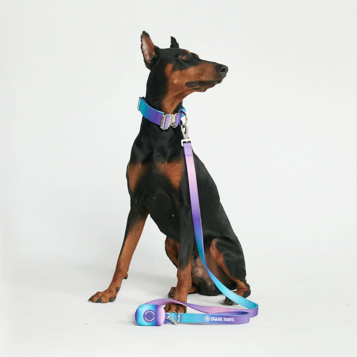 Comfort Control 90s retro print nylon dog leash - view 4