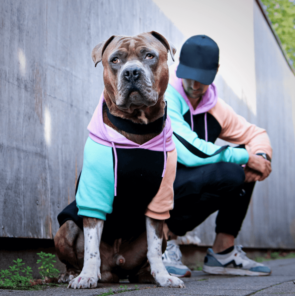 Cyber Punk graphic dog hoodie with fleece interior - view 5