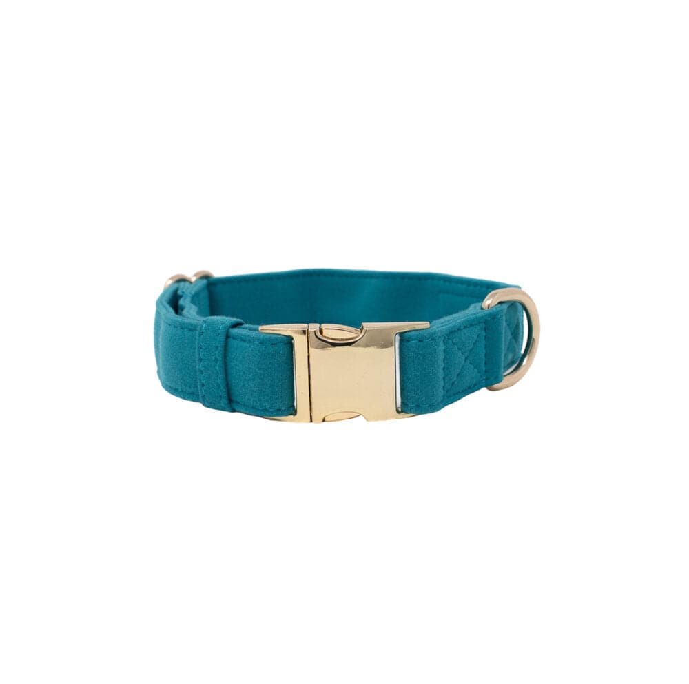 Hayden dog collar — additional photo 2