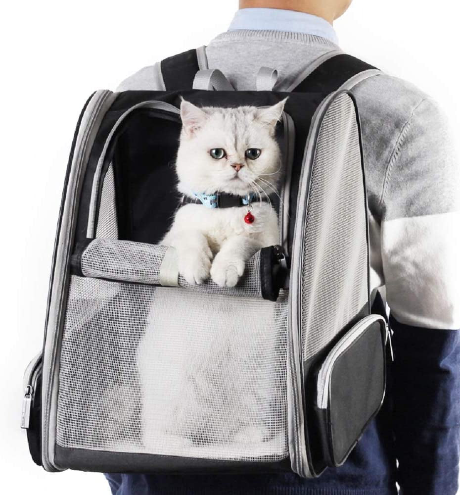 Bubble Backpack Pet Carrier for Cats and Dogs