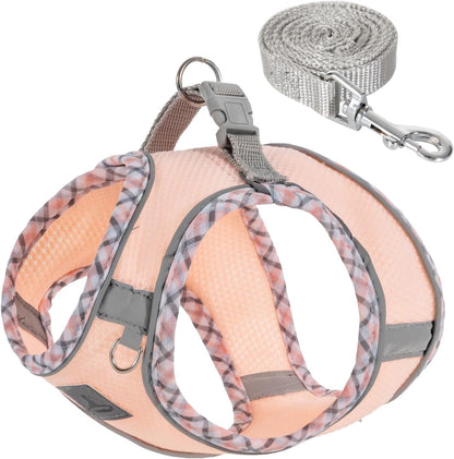 Step-In No-Pull Dog Harness and Leash Set for Small Dogs