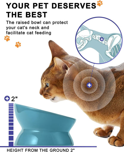 Tilted Elevated Ceramic Cat Bowl, Lake Blue