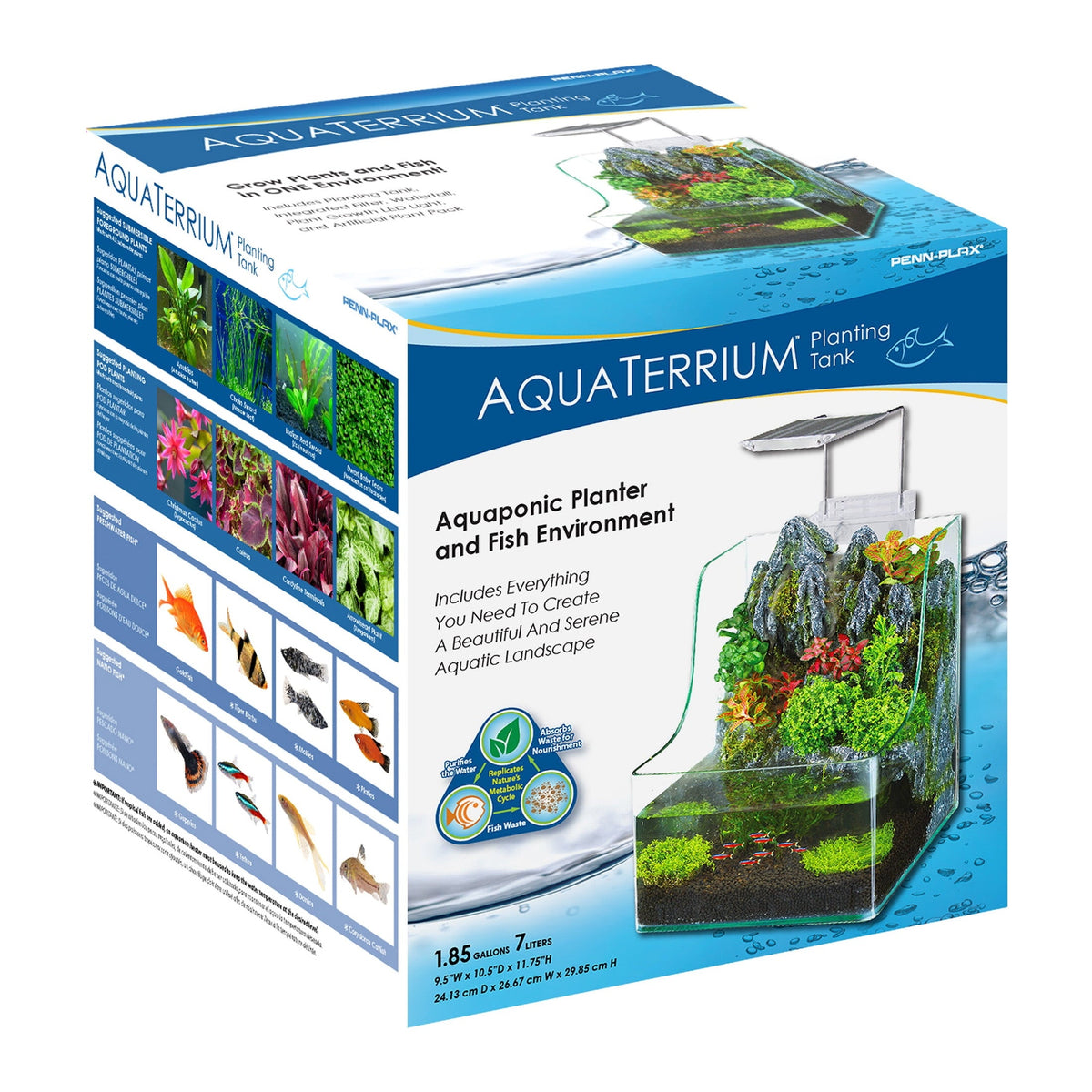 1.85 Gallon Glass Aqua Terrarium Planting Tank