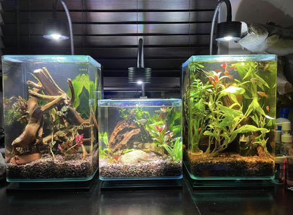 LED Planted Tank Light with Remote, 4 Channels