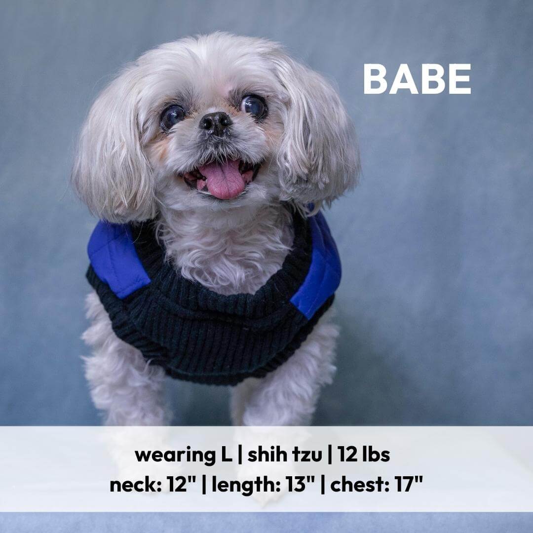 Blue quilted step-in bomber vest for dogs - view 9