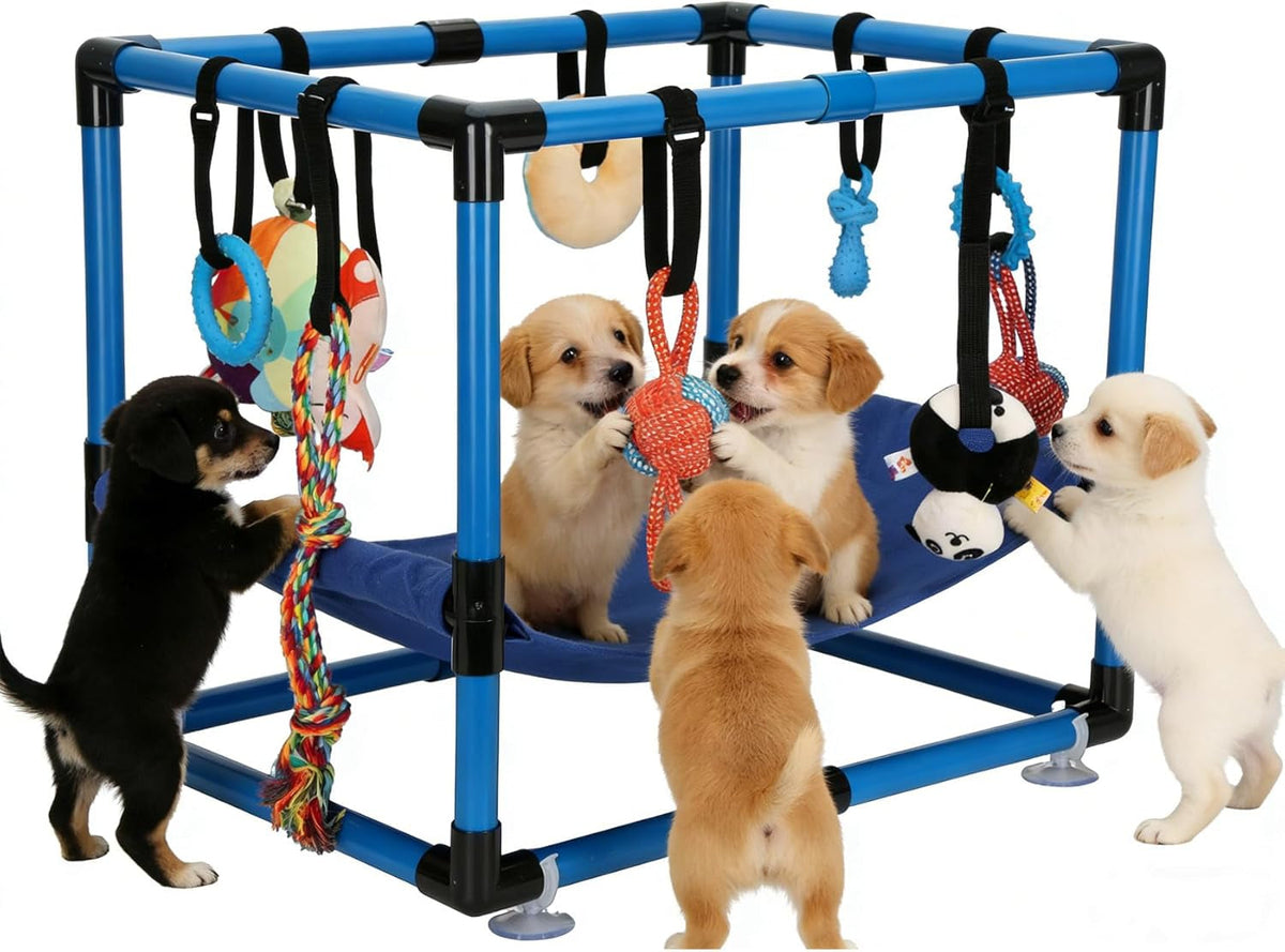 Indoor Puppy Play Gym with Hammock and 8 Toys
