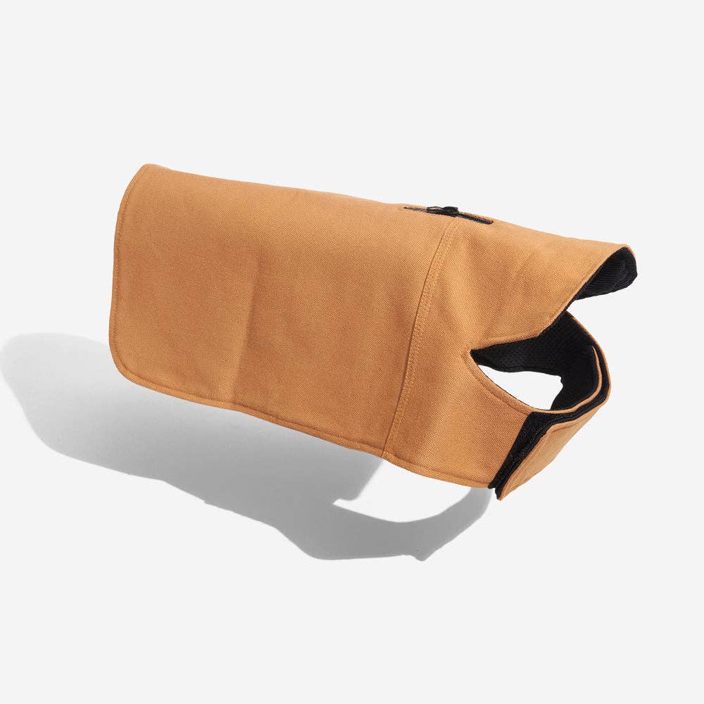 Beige cotton duck dog coat with corduroy collar - view 2