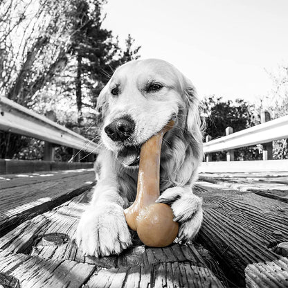 Nylon Dinosaur Bone Chew Toy for Aggressive Chewers