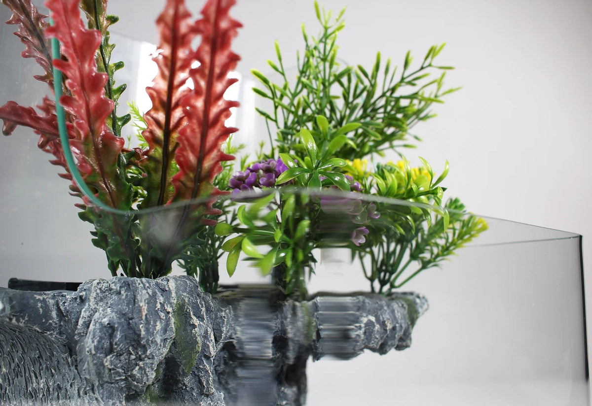 1.85 Gallon Glass Aqua Terrarium Planting Tank
