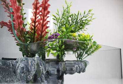 1.85 Gallon Glass Aqua Terrarium Planting Tank